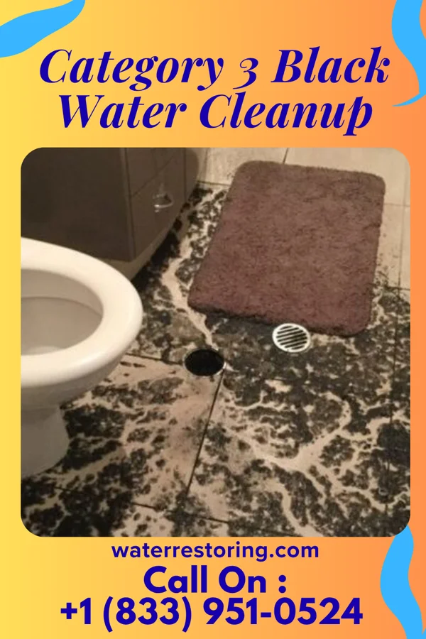 Category 3 Black Water Cleanup in Johnson City, TX