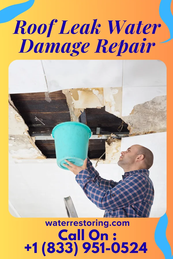 Roof Leak Water Damage Repair in Johnson City, TX