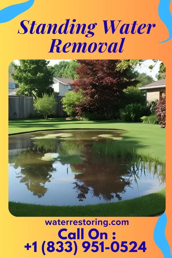 Standing Water Removal in Johnson City, TX